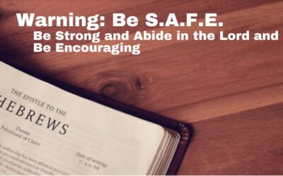 Warning: Be S.A.F.E. – Be Strong and Abide by the Lord & Be Encouraging |  Hebrews 6:4-8