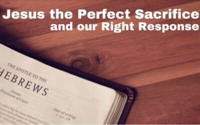 Jesus the Perfect Sacrifice and Our Right Response | Hebrews 10:1-25