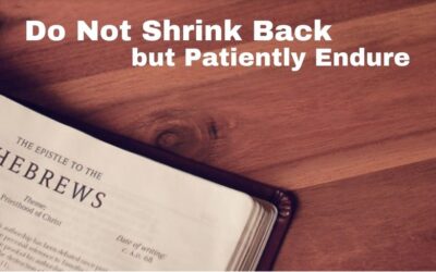 Do Not Shrink Back but Patiently Endure | Hebrews 10:26-39